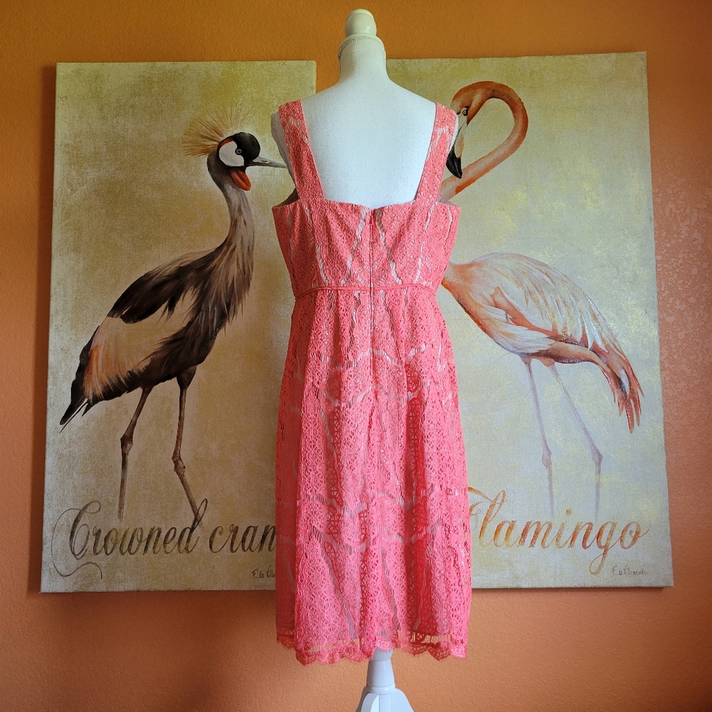 Adrianna Papell Lace Fit and Flare Dress Coral 14 Zipper Sleeveless Spring - Picture 2 of 14